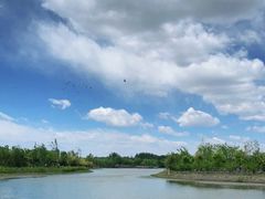 -东郊湿地公园