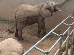 -西霞口神雕山野生动物世界