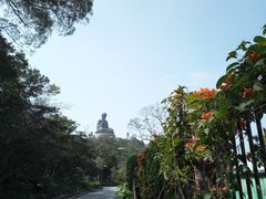 -天坛大佛