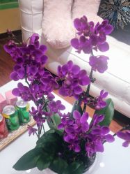 -艺米阳光Hair Salon