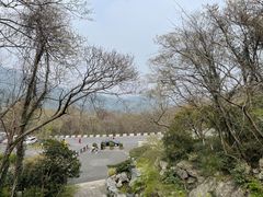 -中国茶叶博物馆(双峰馆区)