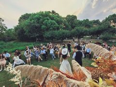 -星尚嫁日(红星国际广场店)