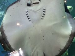 -石林冰雪海洋世界