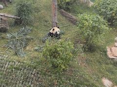 -青藏高原野生动物园