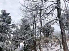 -南岳衡山风景名胜区