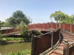 -上海长兴岛郊野公园