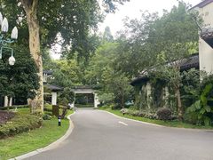 -杭州西湖柳莺里酒店