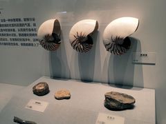 -湖南省地质博物馆