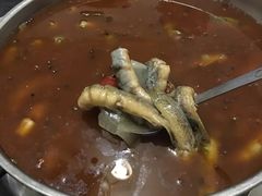 -邱氏胖泥鳅(大堰店)