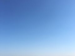 -白洋淀景区