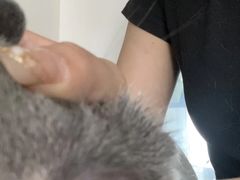 -瑞派宠物医院·24h·骨外科·皮肤科·全科宠物医疗转诊中心(沈阳浑南院)