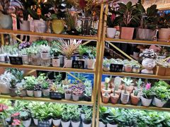 -茶马花街(城西银泰城店)