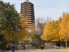 -玲珑塔公园