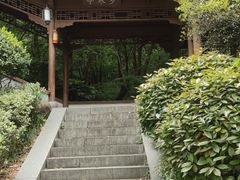 -杭州半山国家森林公园