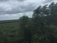 -春华海鲜城(广场西苑店)