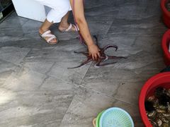 -阿伍海鲜大排档(塔湾金沙店)