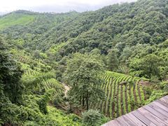 -安吉涵田度假村·水榭居中餐厅
