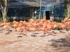 -鄂尔多斯野生动物园