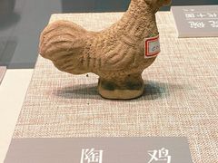 -海口市博物馆