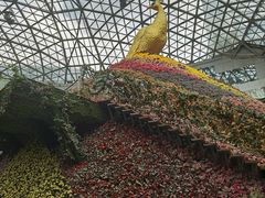 -花之城