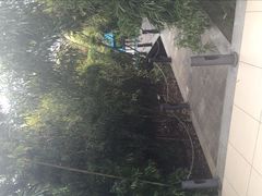 -北国之春国宴(乌兰察布店)