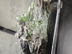 -甘肃地质博物馆