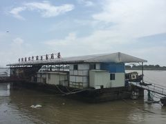-大湾区中央湿地公园-十九涌