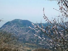 -香山公园