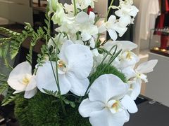 -上海浦东保时捷中心