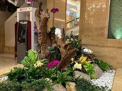 -广州香格里拉酒店