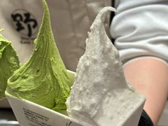 -野人先生Gelato(上海长宁龙之梦店)