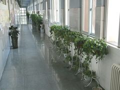 -郑州枫杨外国语学校