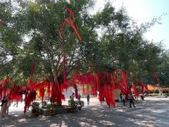 -西双版纳勐泐文化旅游区