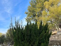 -元大都城垣遗址公园