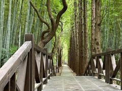 -同里国家湿地公园