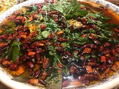 杨记招牌鱼-杨记隆府(时代天街店)