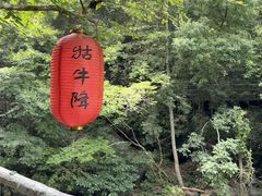 -石台牯牛降景区