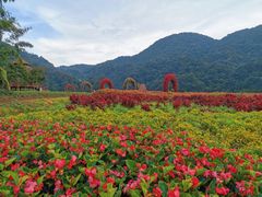 -广州市石门国家森林公园