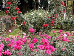 -人民公园(罗湖区)