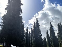 -新疆那拉提国家旅游度假区
