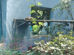 -青藏高原野生动物园
