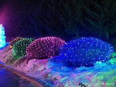 -长春公园(普阳街道)