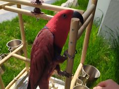 -兰亭茶叙(新新家苑店)