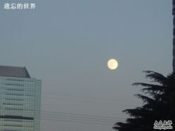 -虹桥迎宾馆·宴会厅