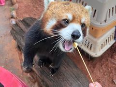 -云南野生动物园