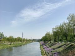 -东坝千亩湖公园