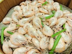 -东宴(温岭店)