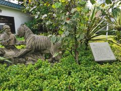 -晓港公园