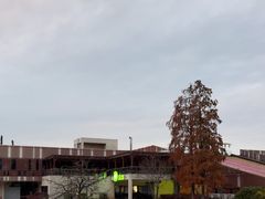 -黄海国家森林公园