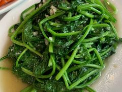 蒜蓉菠菜-小贝壳酒楼(经九路店)